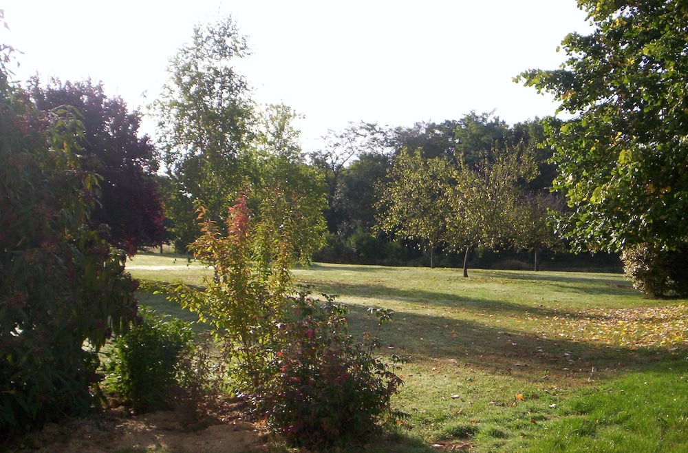 Ibis Amboise 25/65