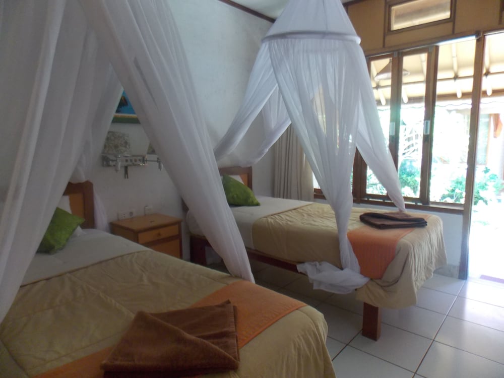 Komodo Lodge 27/47
