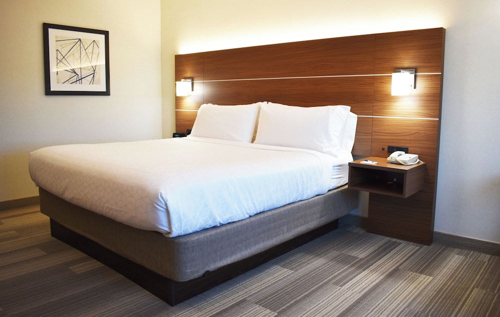 غرفة قياسية بسرير كينج، Holiday Inn Express Hotel And Suites Albany 3/6