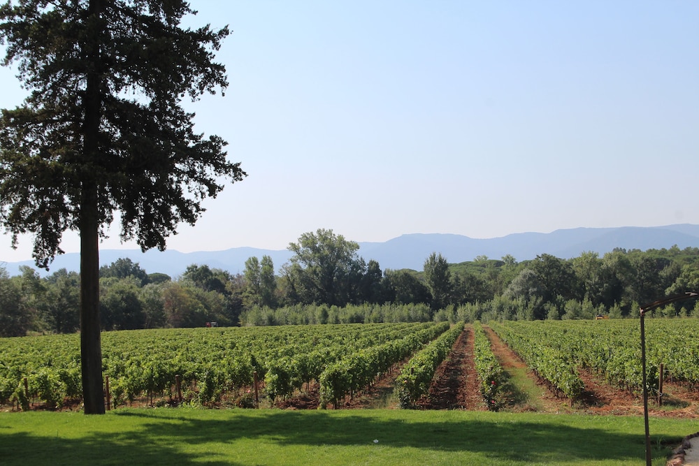 Chateau Saint Roux 52/58