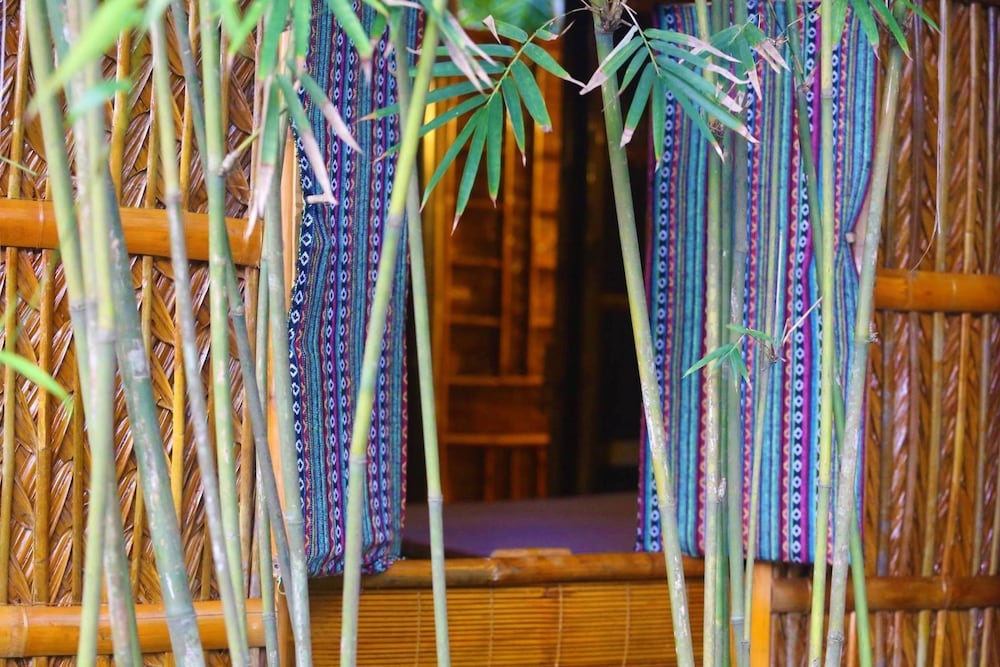 Under The Coconut Tree 5/50