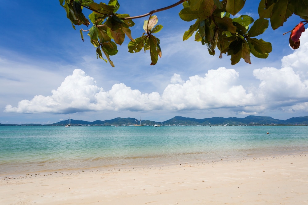 My Beach Resort Phuket 61/68