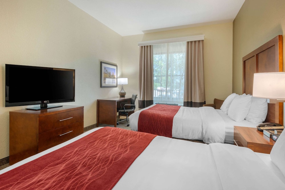 Comfort Inn & Suites Northeast - Gateway 9/32