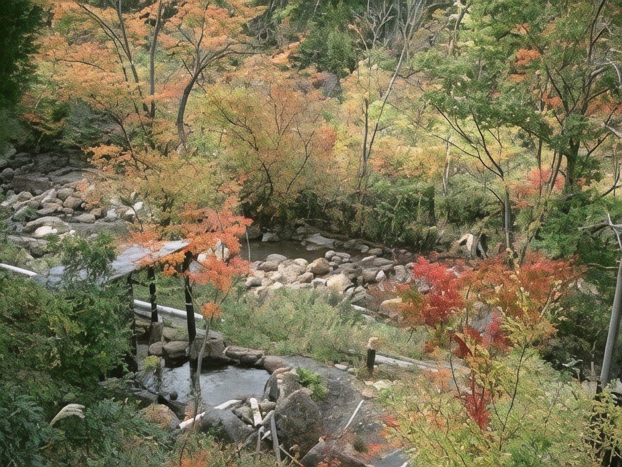 Hotel Daikogen 38/40