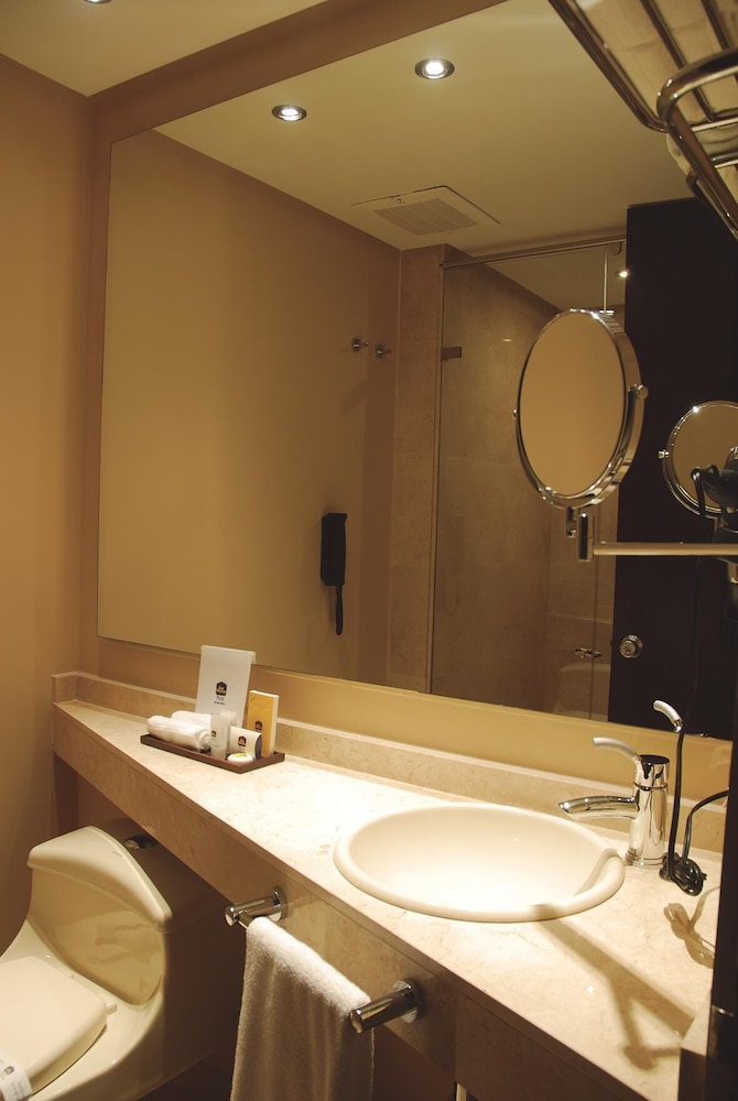 Best Western Plus 93 Park Hotel 23/50