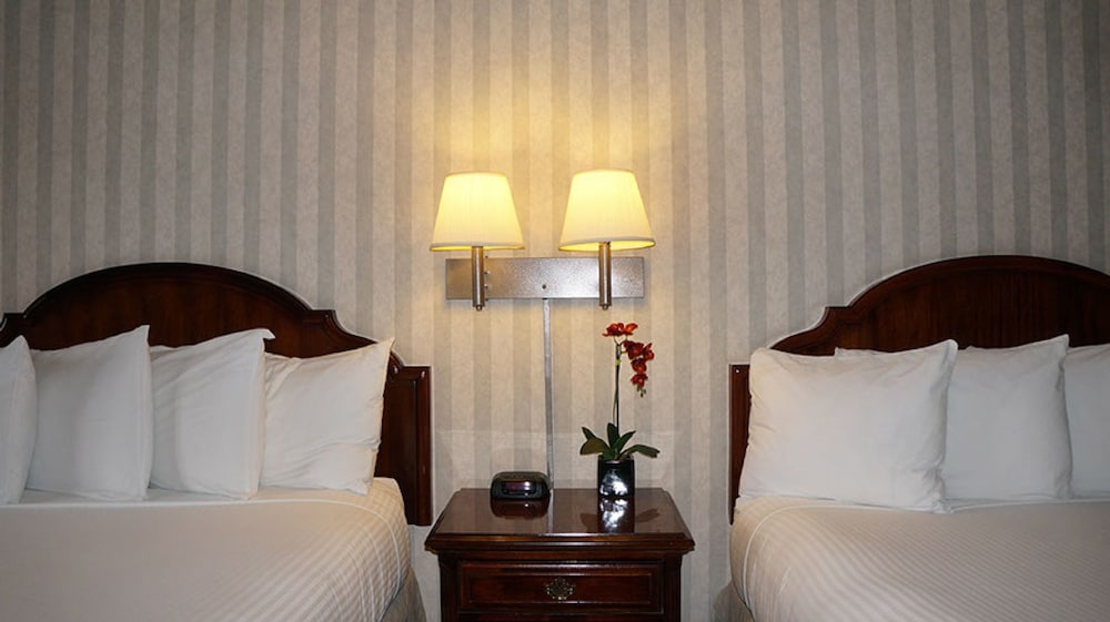 Emerald Dolphin Inn 28/62
