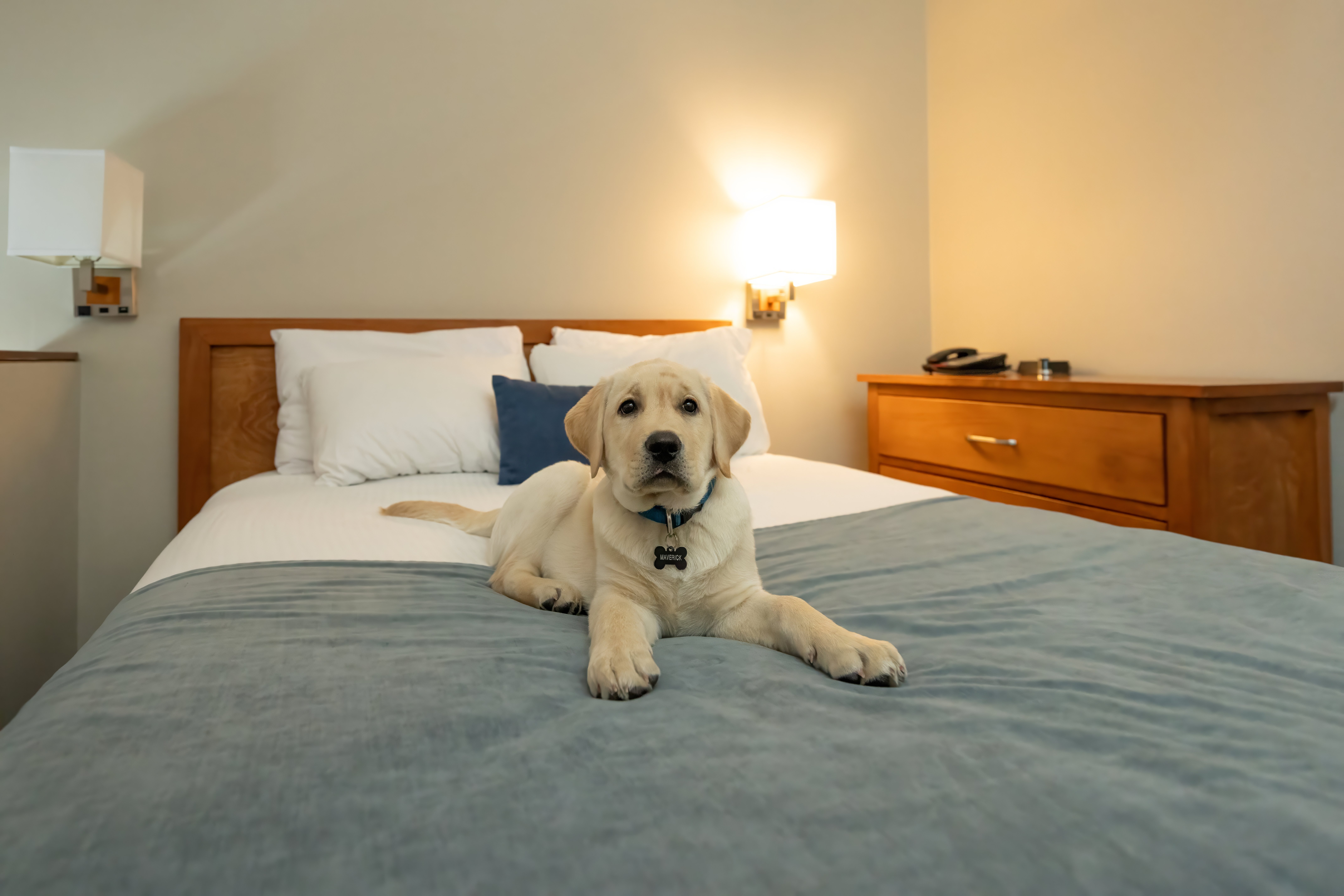 Whistler Village Inn Suites 14/73