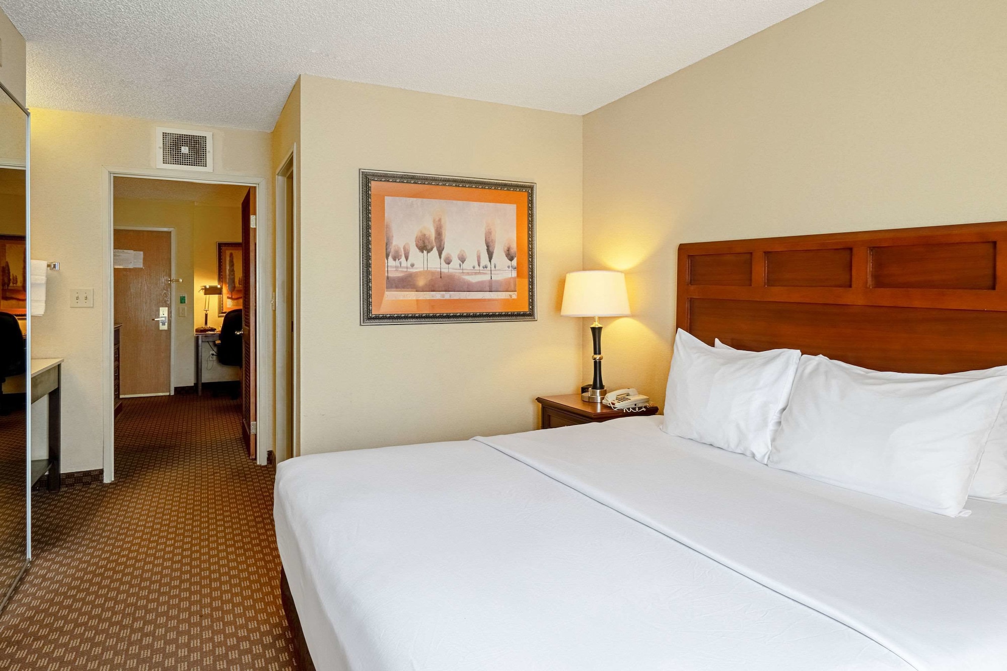 SUITE, KING BED, ACCESSIBLE