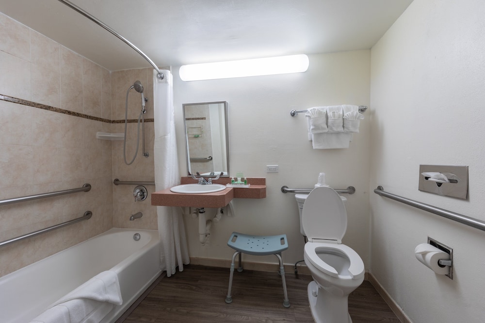 Holiday Inn Port of Miami Downtown Hotel 73/73