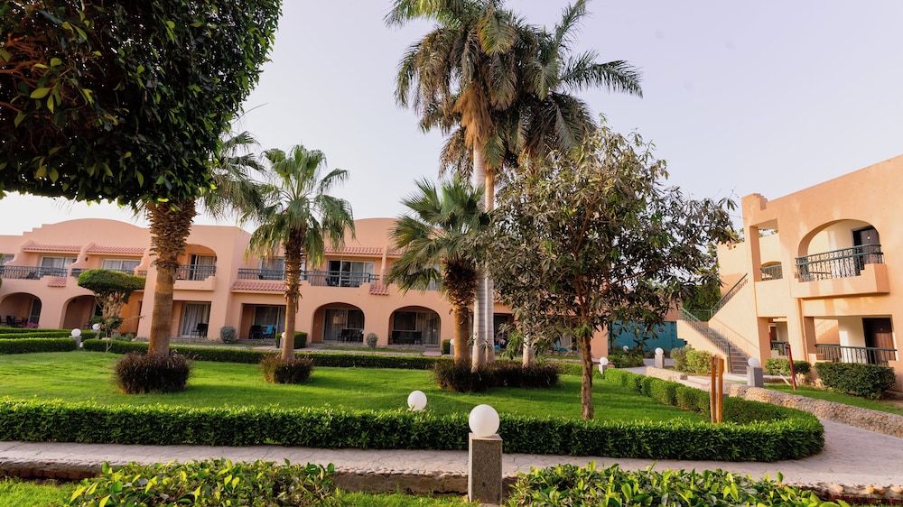 Ali Baba Palace 40/45