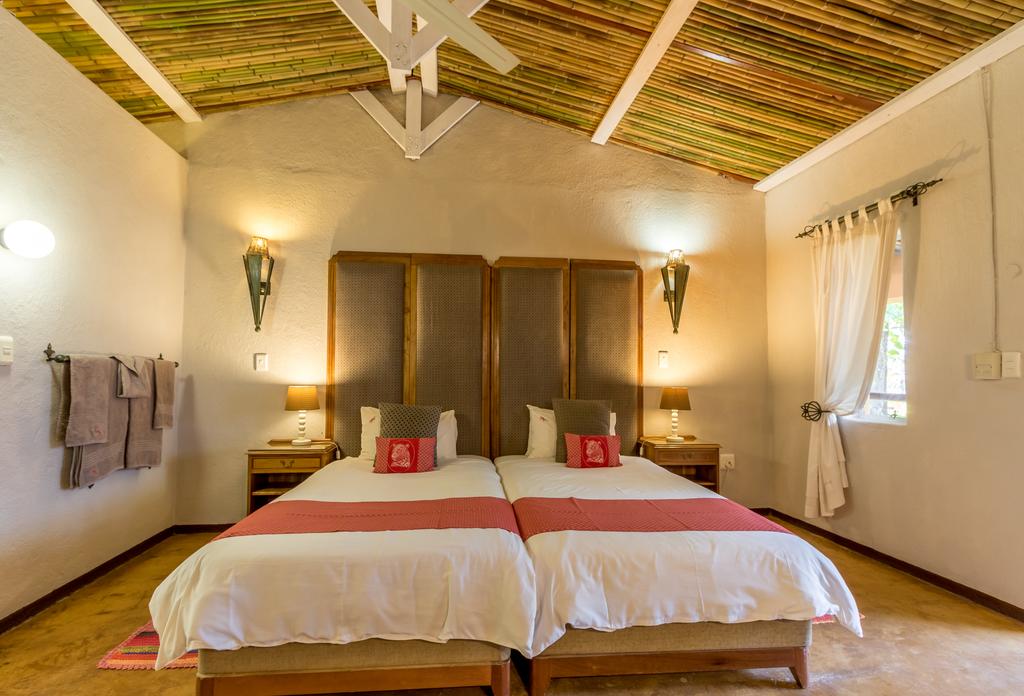 Gecko Lodge 14/86