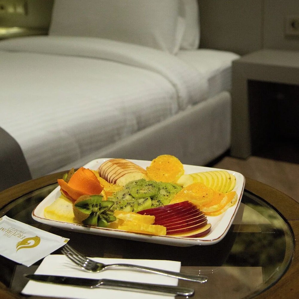 The Erzurum Hotel 38/50