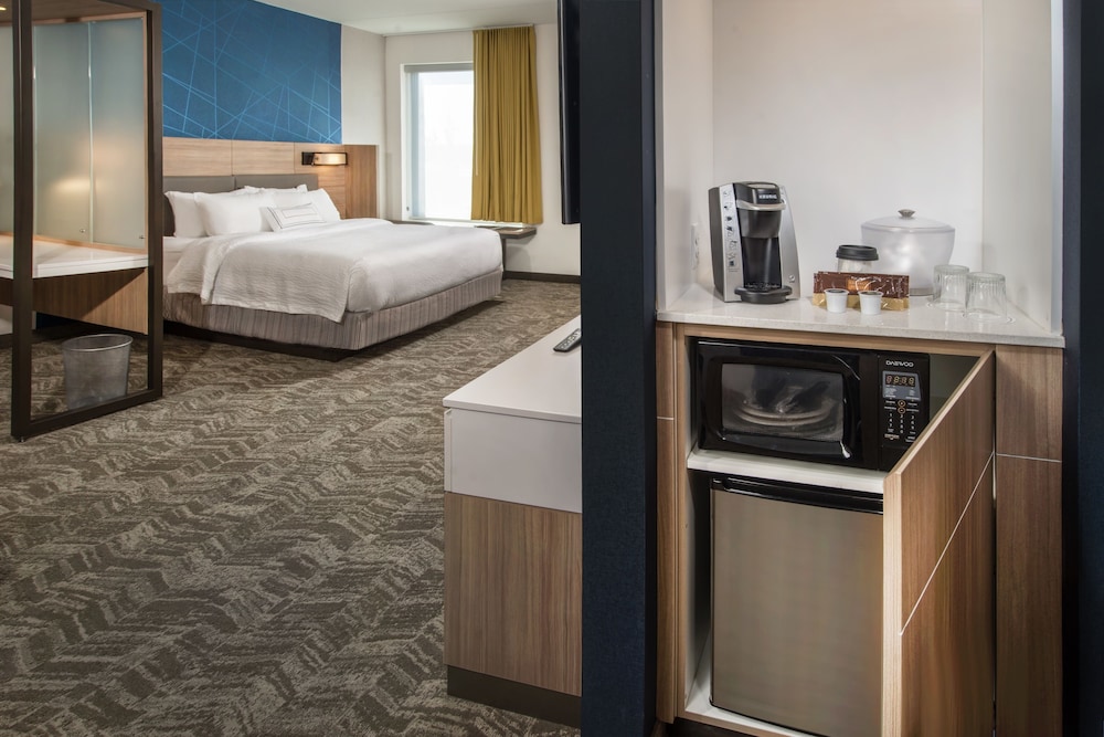 Hotel Springhill Suites By Marriott Gainesville Haymarket 6/34