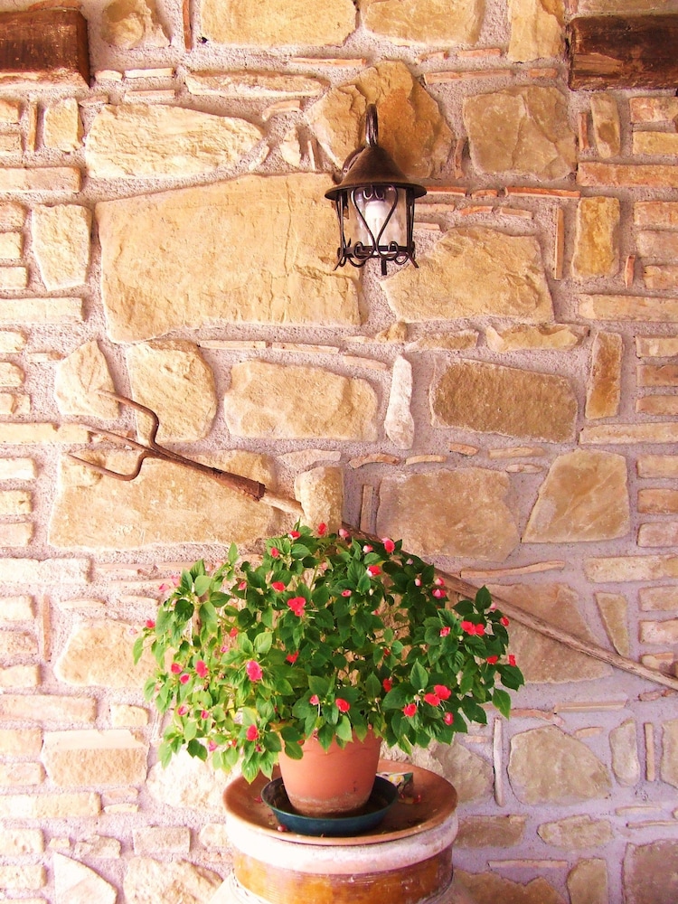 Agriturismo L'uliveto 9/50