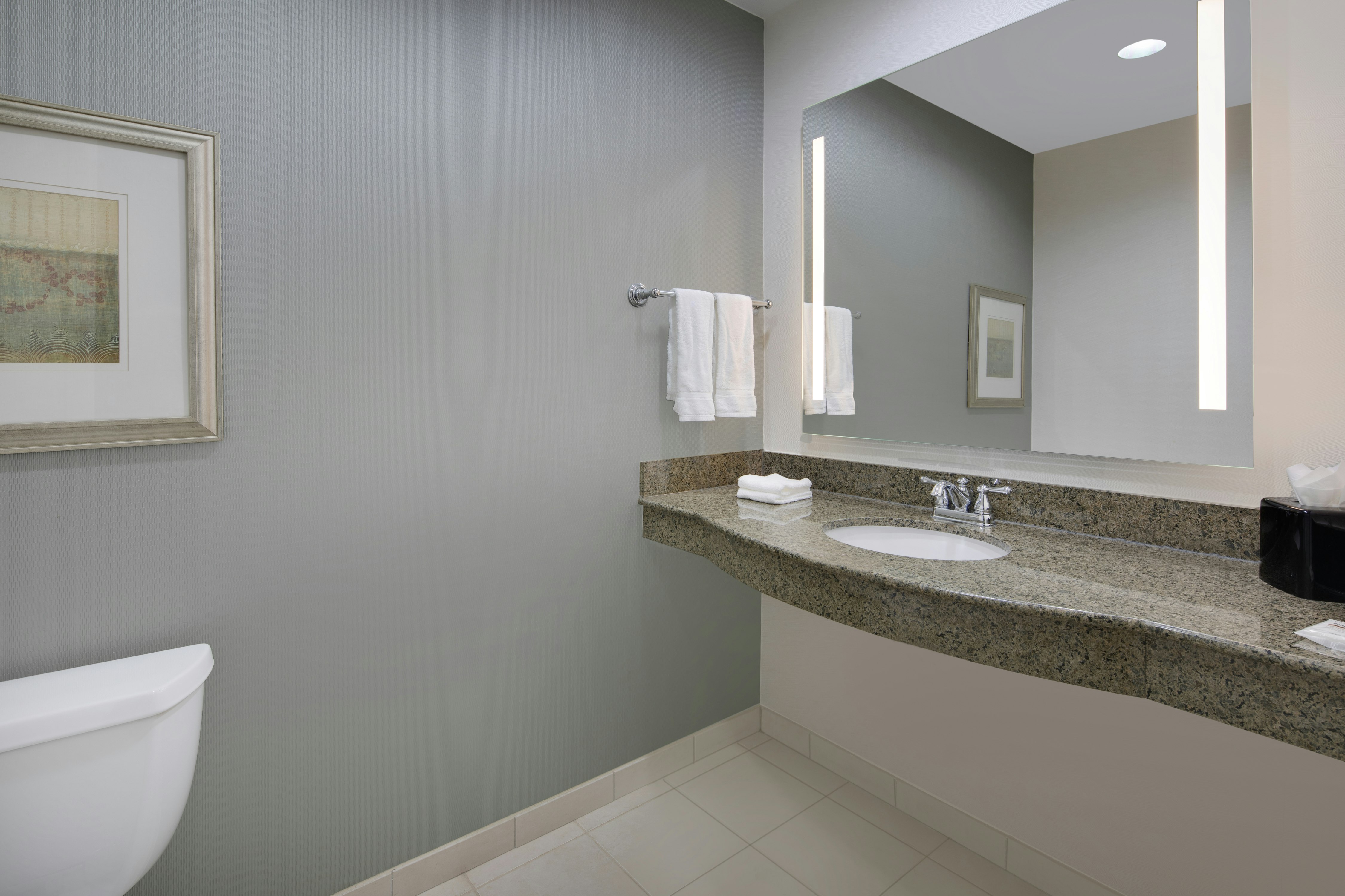 SUITE, KING BED, LIVING AREA