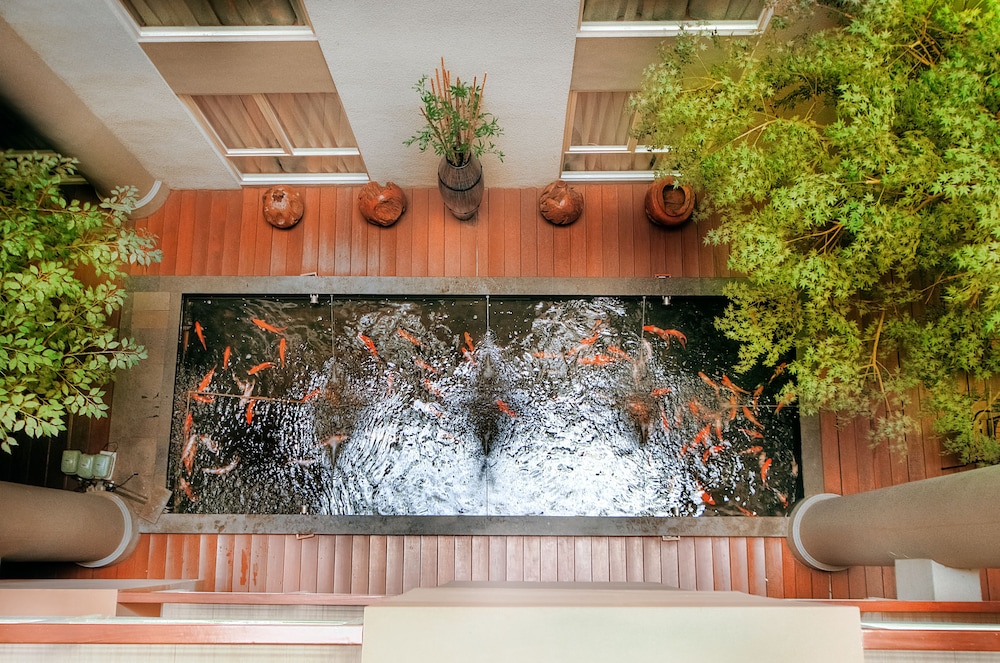 Avissa Suites 11/72