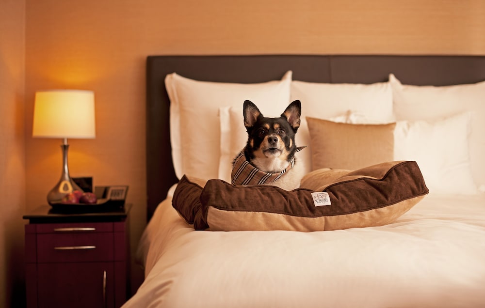Hyatt Place Atlanta Buckhead 24/52