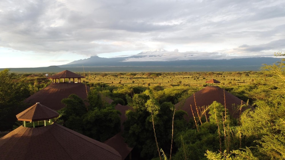 Kilima Safari Camp 44/49