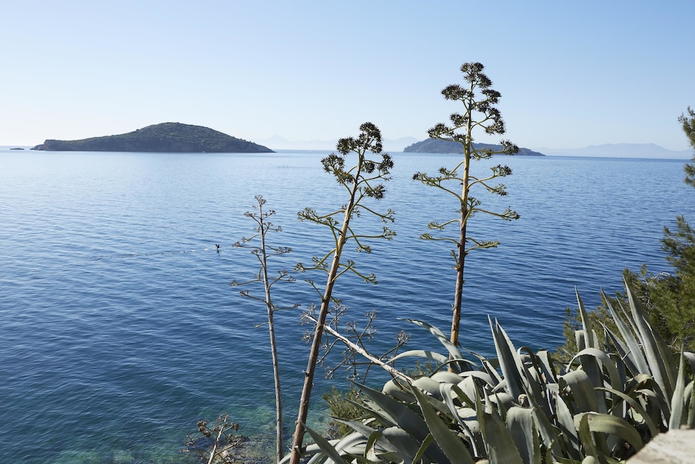 Elivi Skiathos 33/50