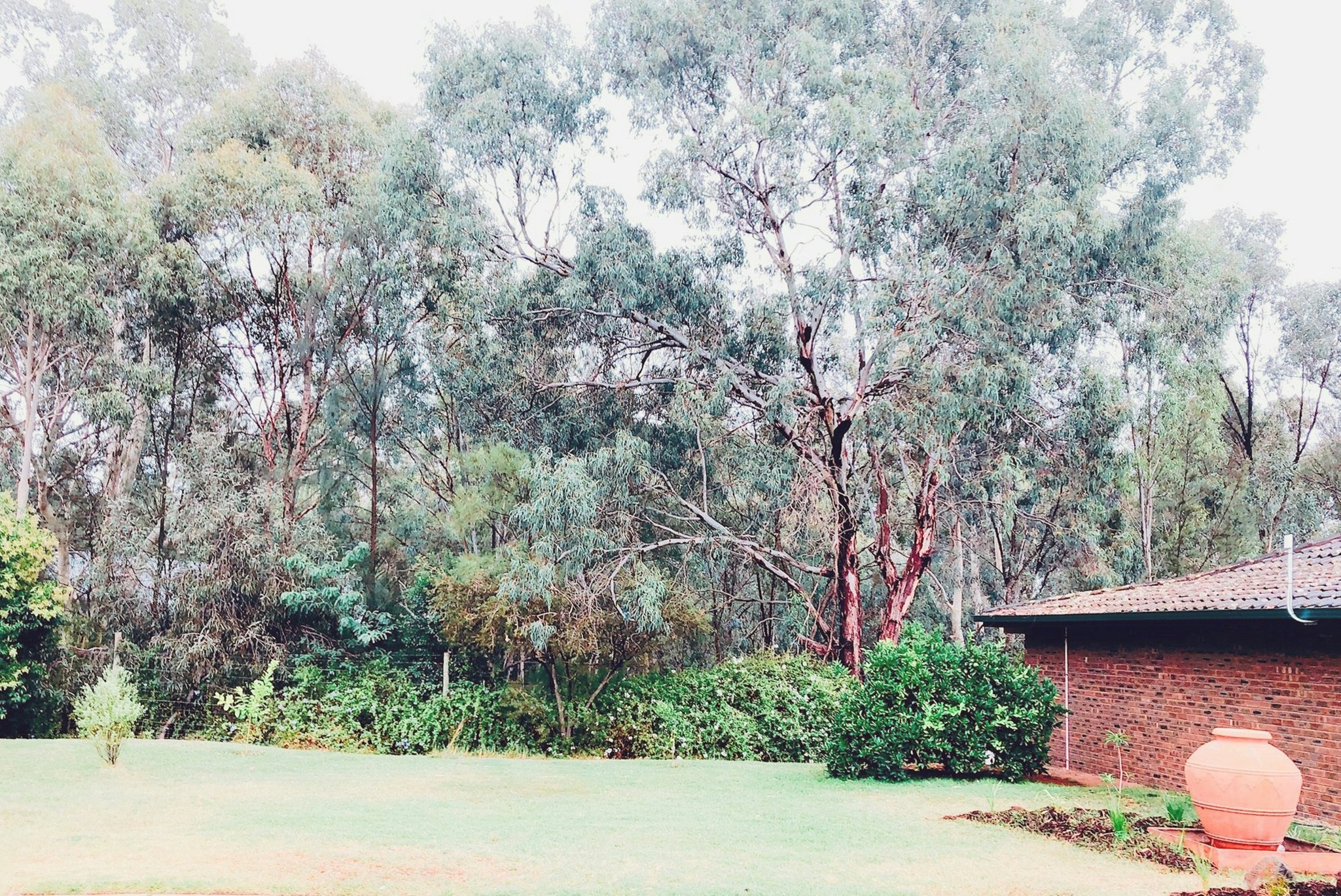 Meninya Palms Moama 51/59