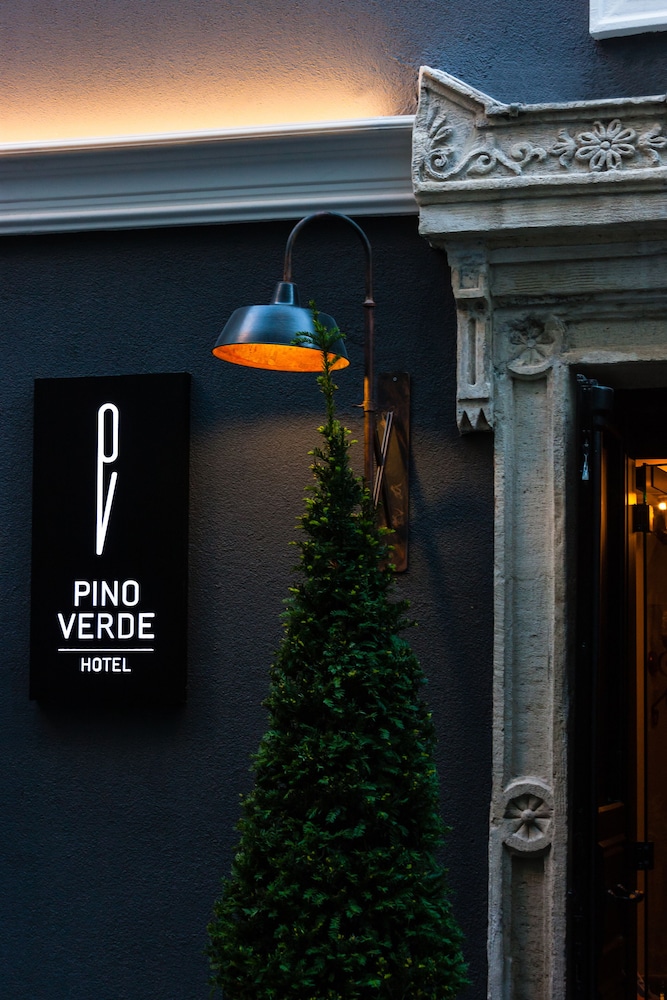 Hotel Pino Verde 6/50
