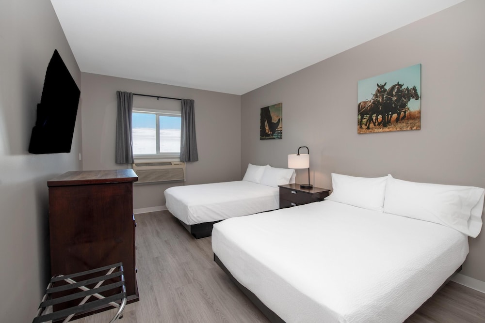 Travel Inn Suites Innisfail 15/46