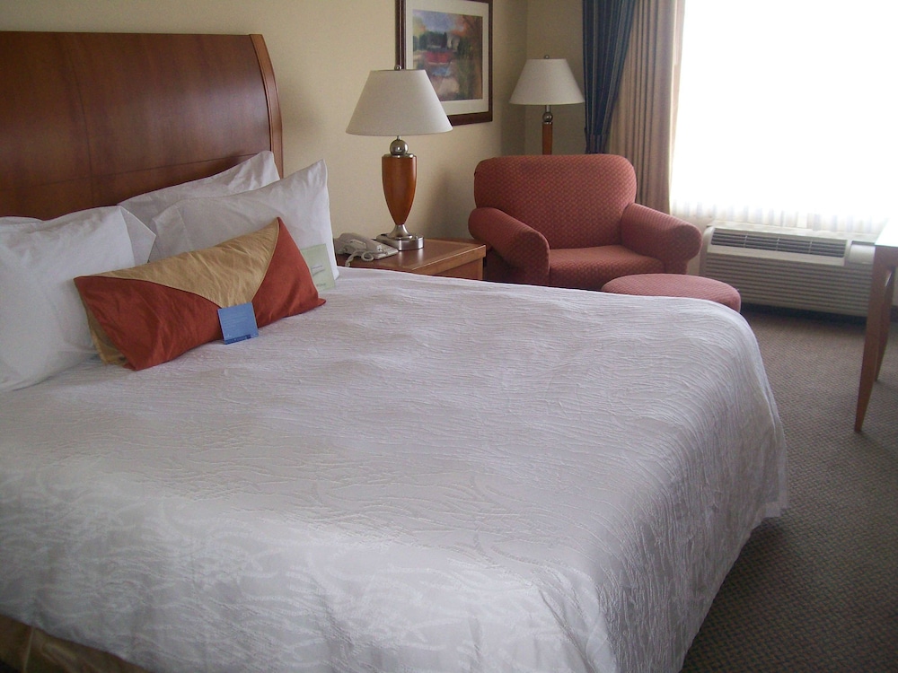 Hilton Garden Inn Albany Hotel 14/45