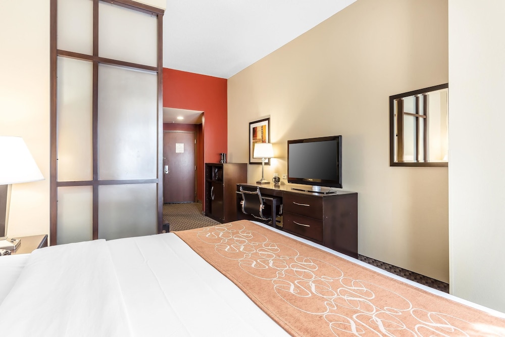 Comfort Suites West of The Ashley 15/46