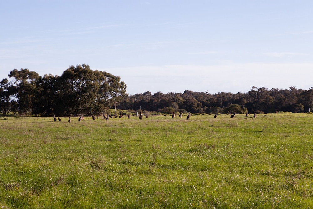 BUSSELLS BUSHLAND COTTAGES 40/47