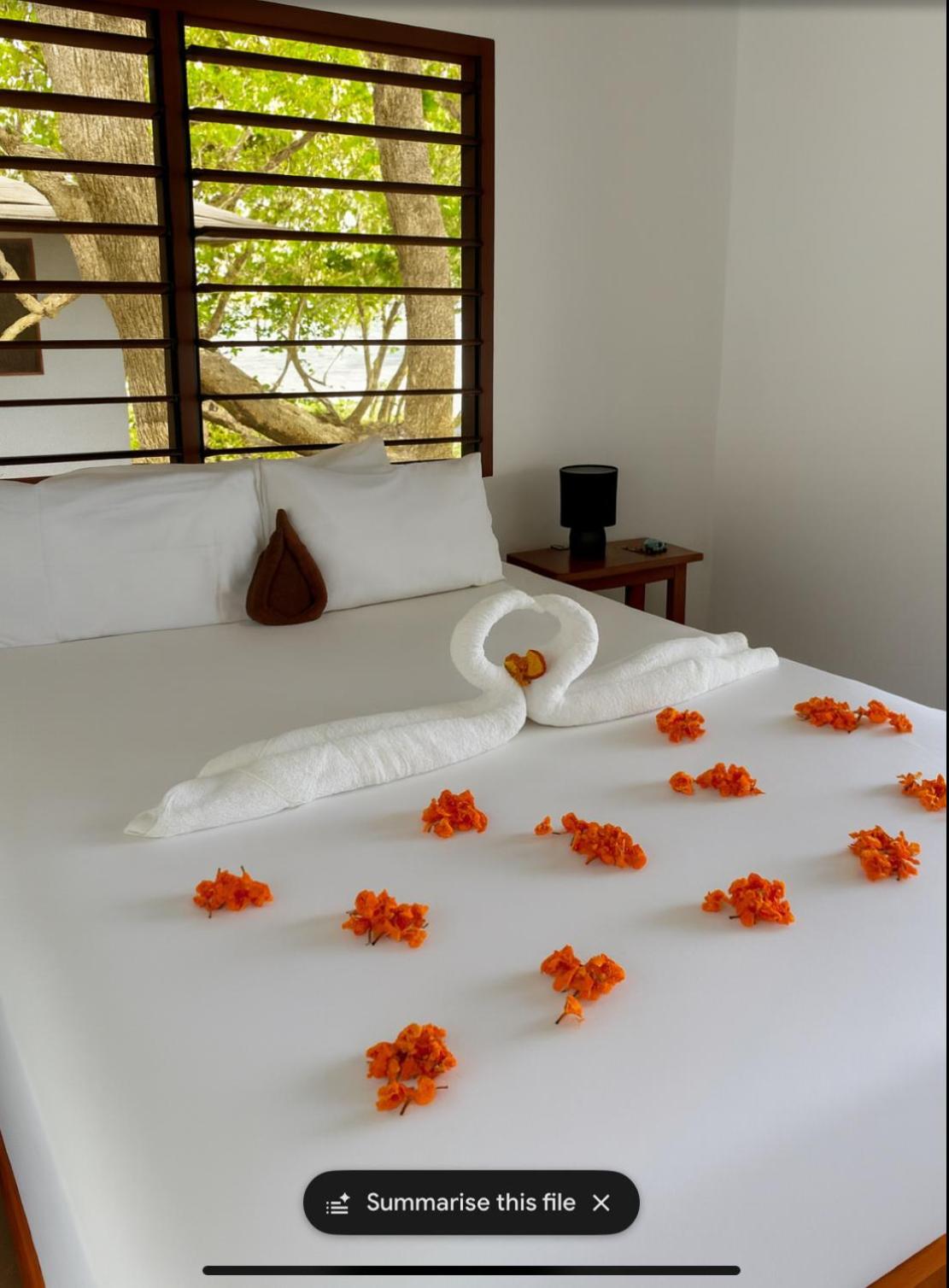 Dany Island Eco Resort 20/50