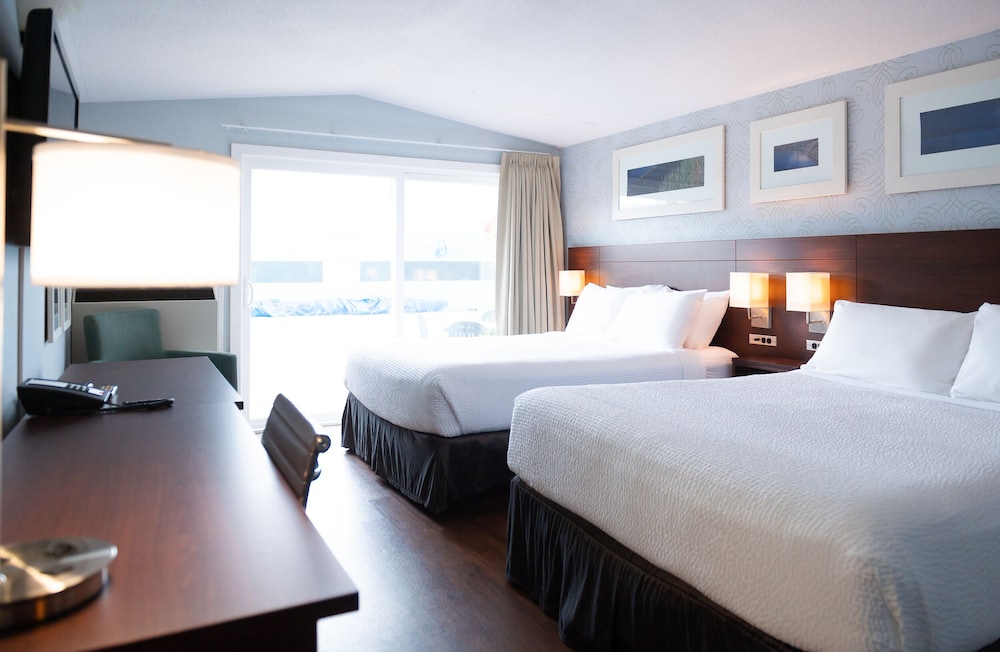RODD MONCTON 16/50