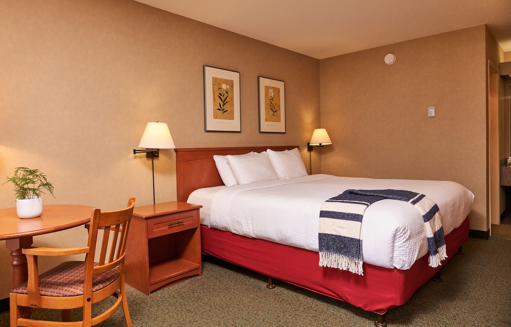 Marmot Lodge 21/50