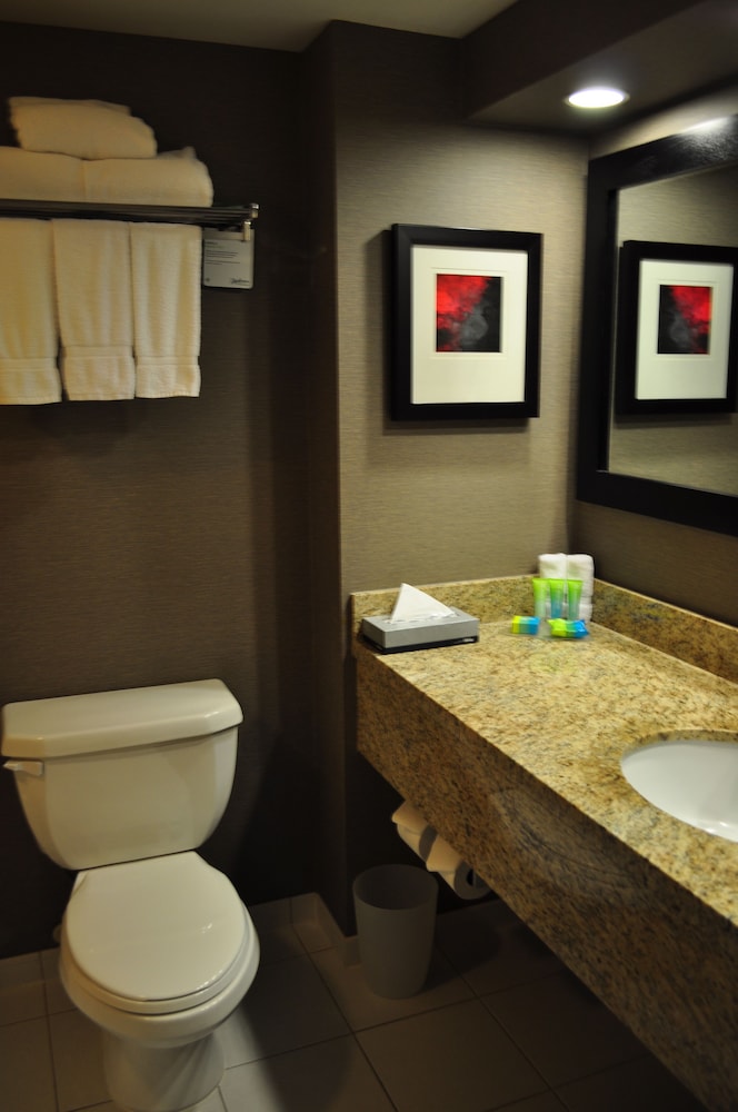 Radisson Hotel Vancouver Airport 17/45