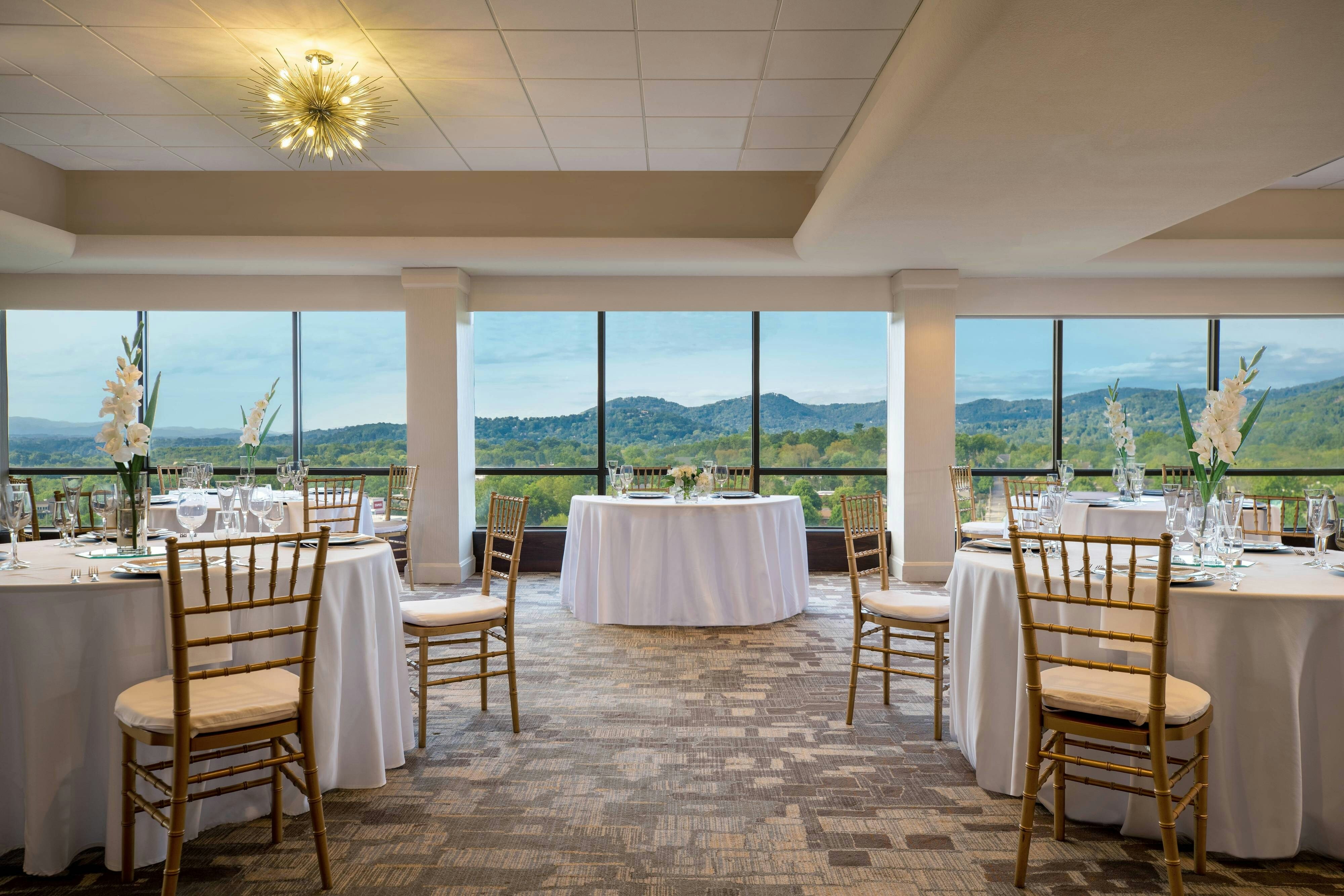 Renaissance Asheville Downtown Hotel 15/29