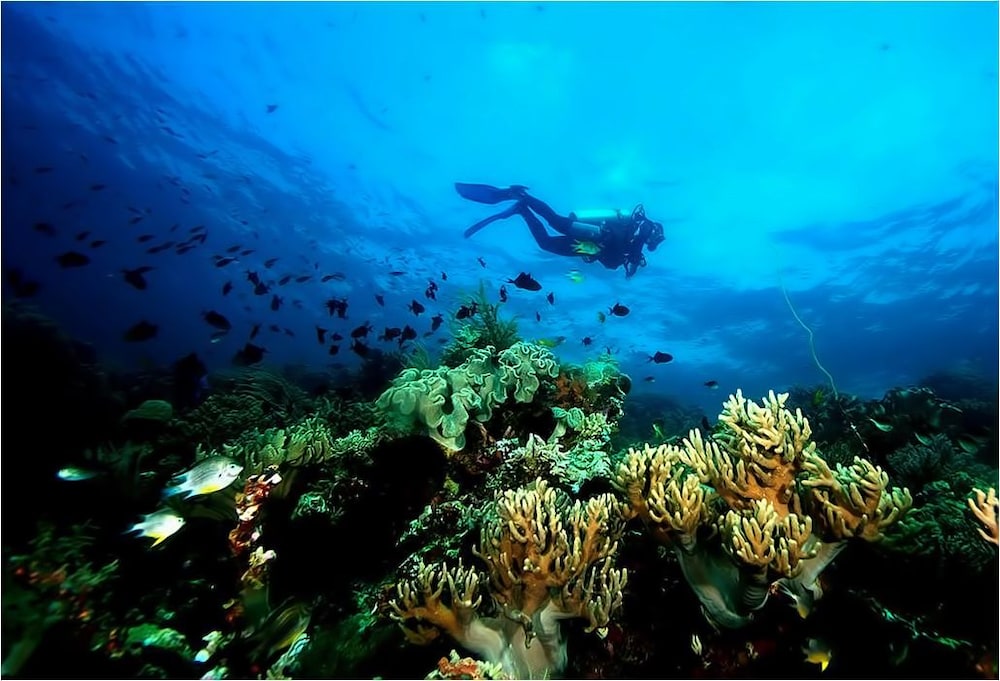 Wakatobi Patuno Resort by SAHID 20/58