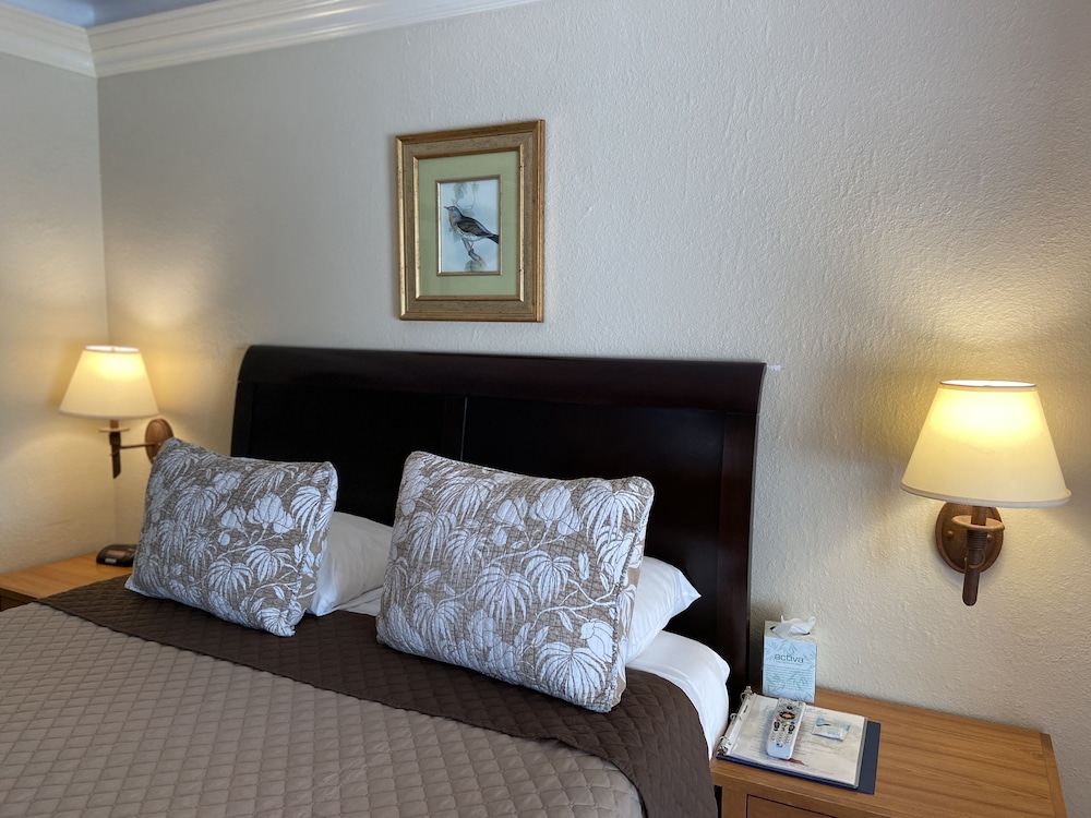 Los Gatos Garden Inn Hotel 18/50