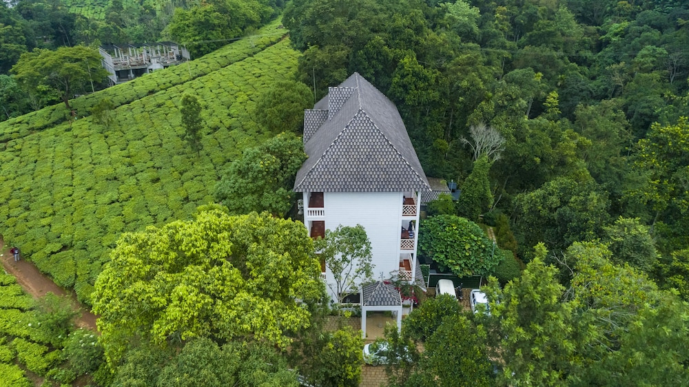 Tea Harvester Munnar 34/50