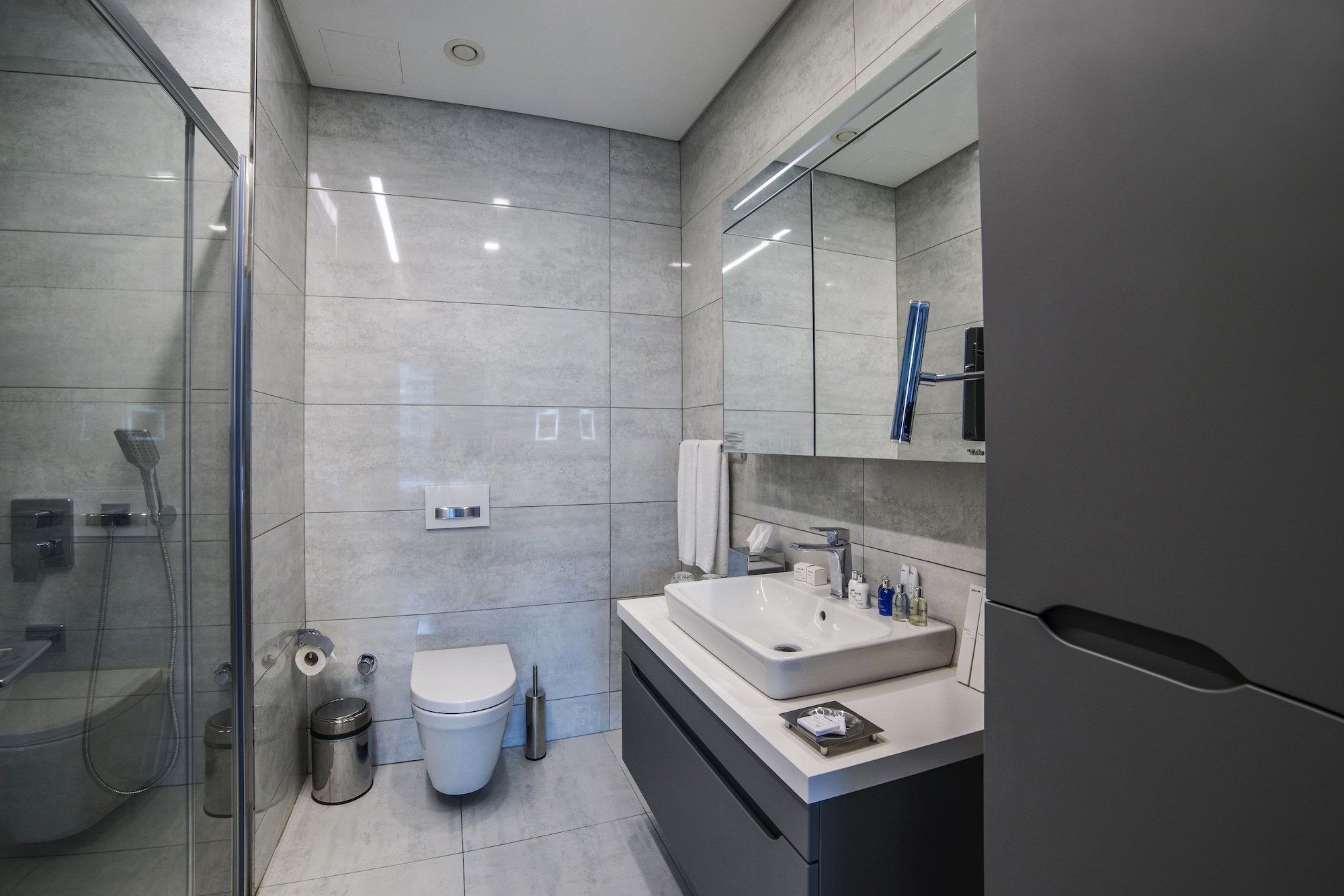 شقة بغرفة نوم واحدة، Radisson Residences Vadistanbul 7/8
