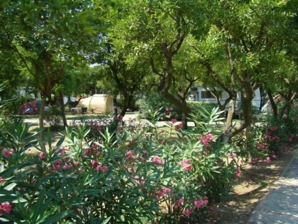 Hotel Zeus Pompei 39/50