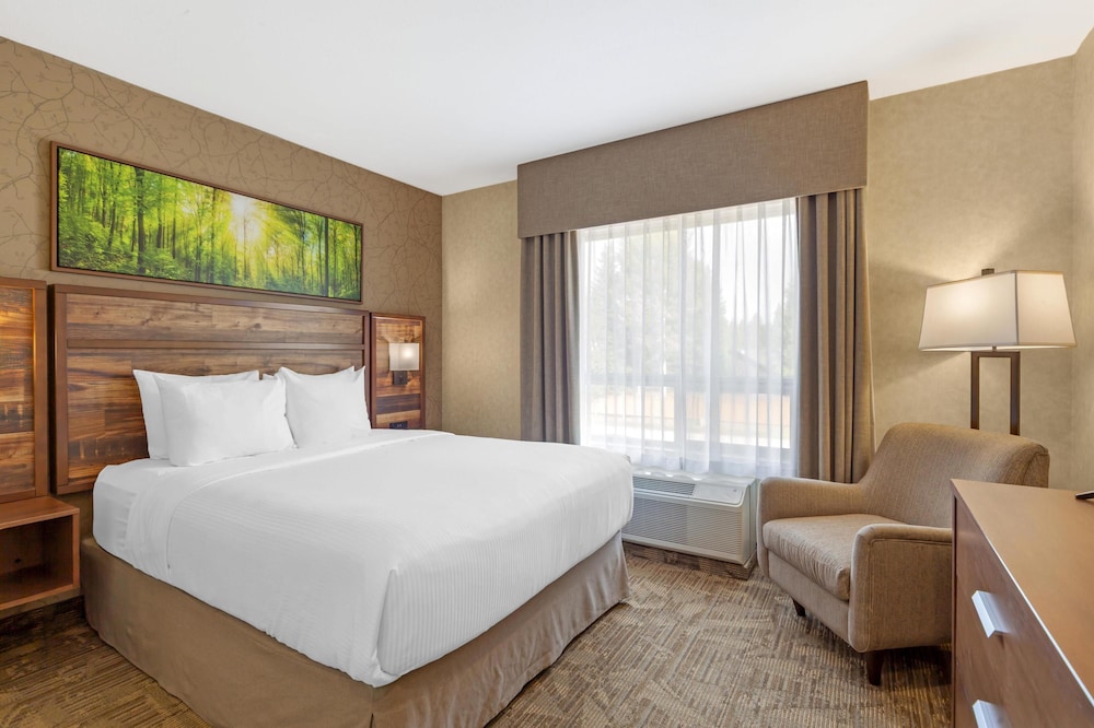 Suite, Queen Bed