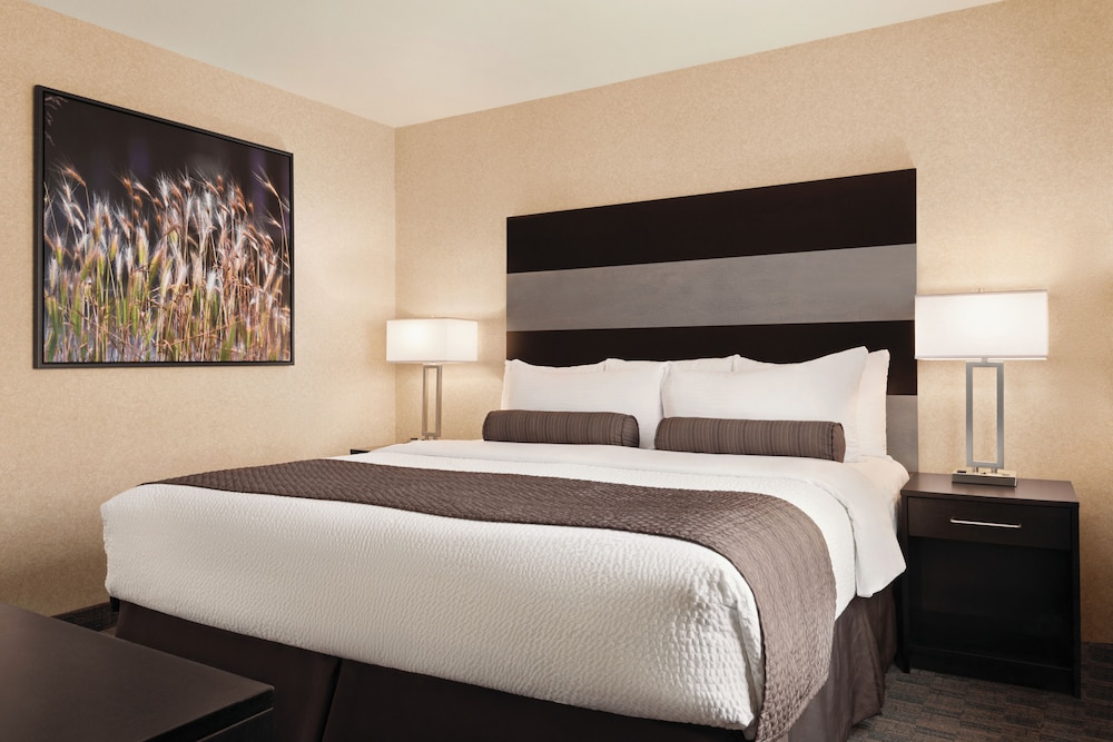 Suite, 1 King and 2 Queen Beds