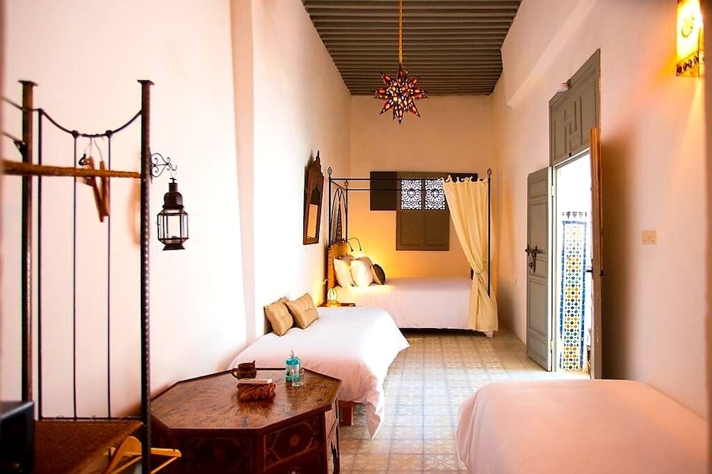 Riad Safir 14/49