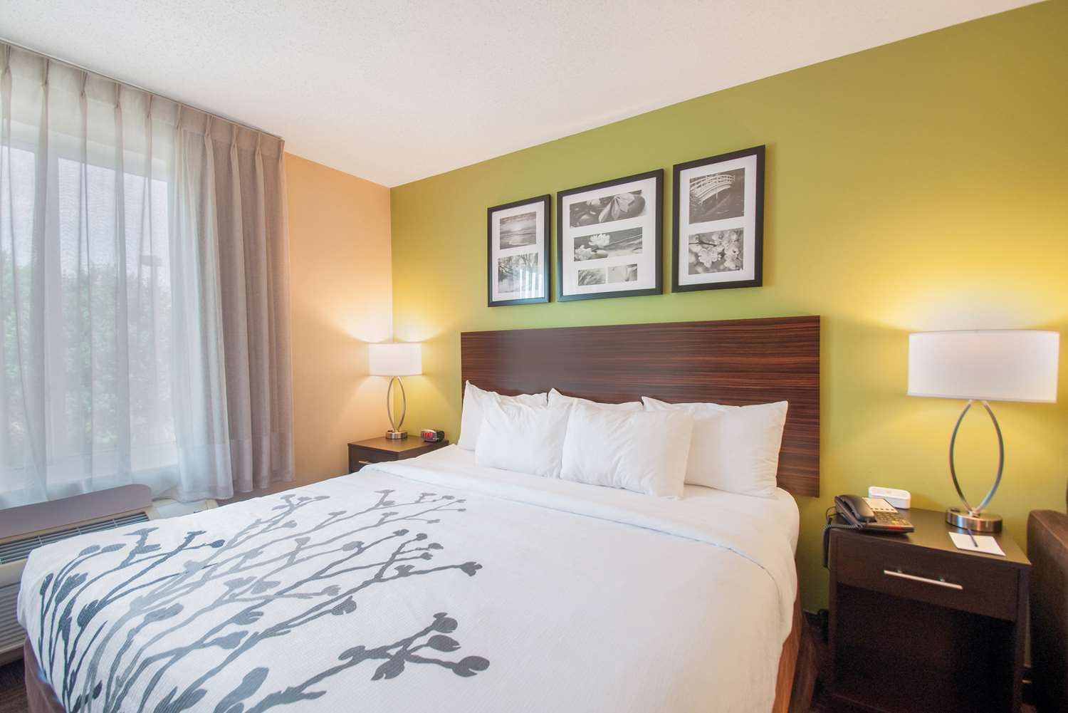 Suite, King Bed, Accessible