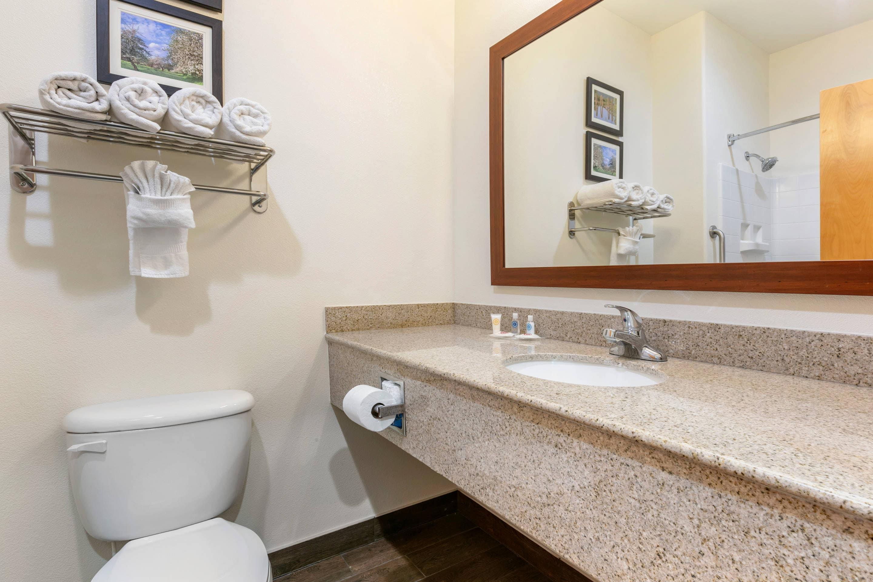 جناح بسرير كينج، Comfort Suites Batesville, AR 6/7