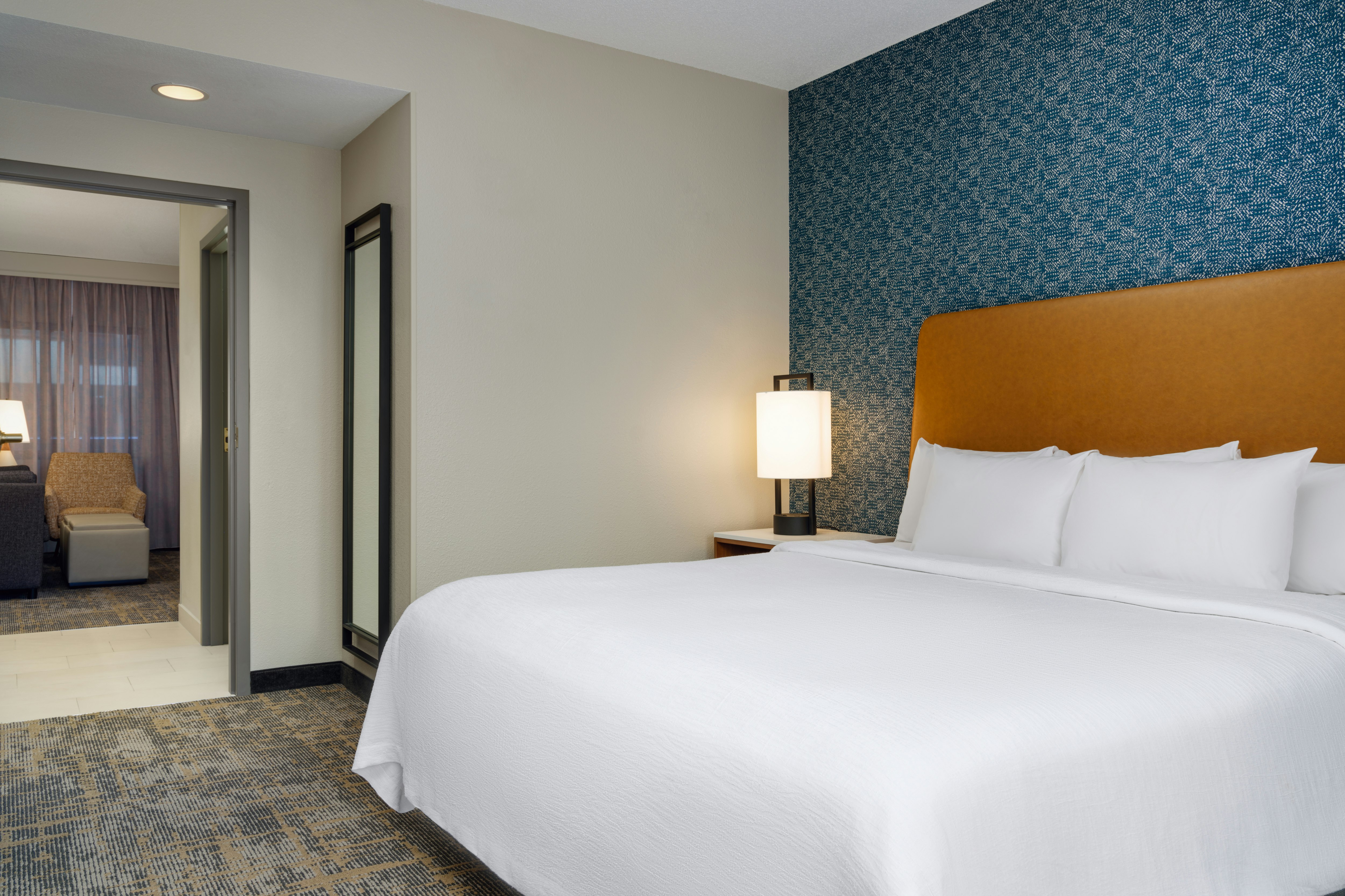 SUITE, KING BED, ACCESSIBLE