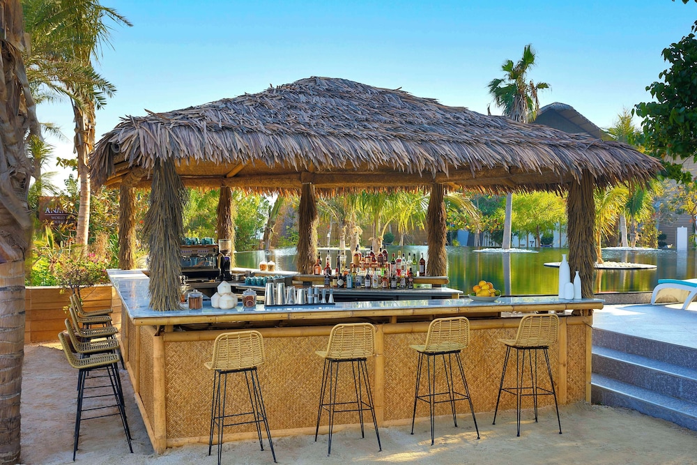 Anantara World Islands Dubai Resort 57/78