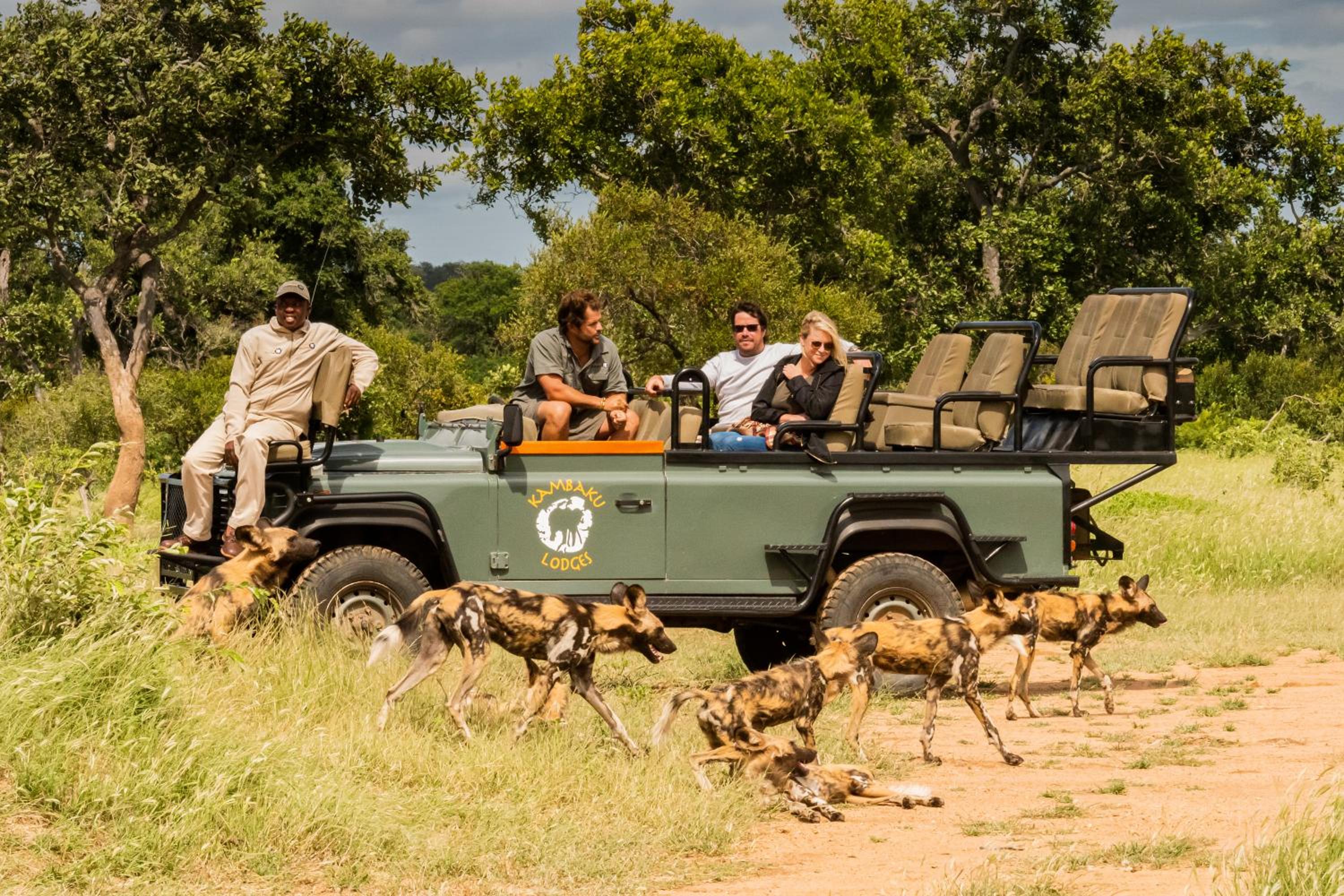 Kambaku Safari Lodge 34/40