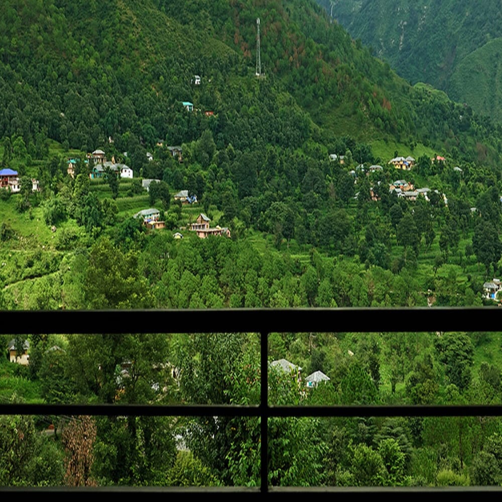 Araiya Palampur 37/50