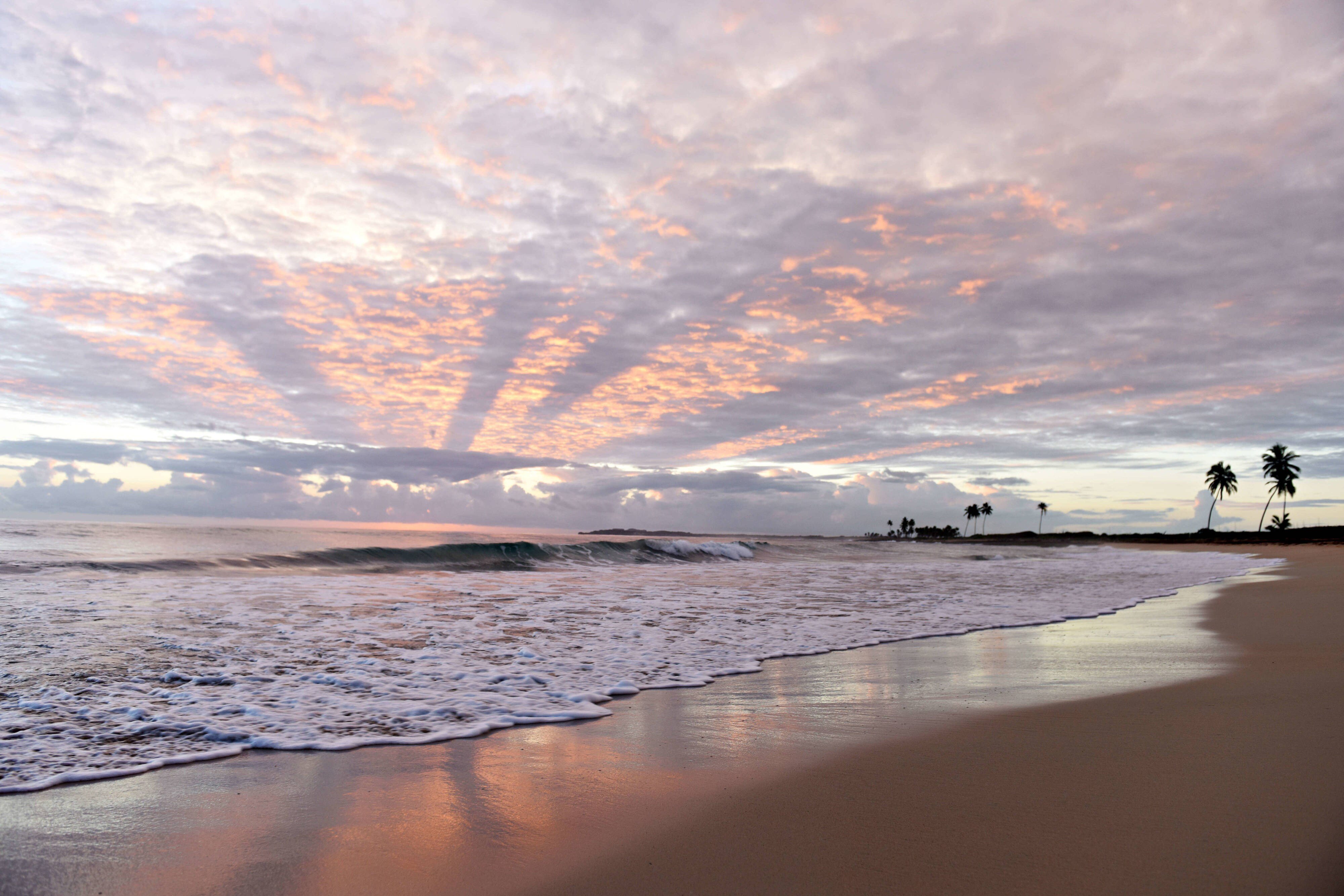 Royalton CHIC Punta Cana, An Autograph Collection All-Inclusive Resort & Casino - Adults Only 54/64