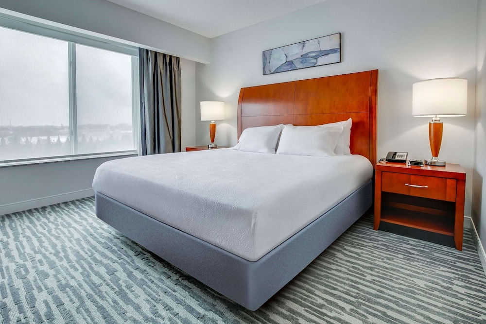 Evolution, Deluxe, Suite, King Bed, Sofa